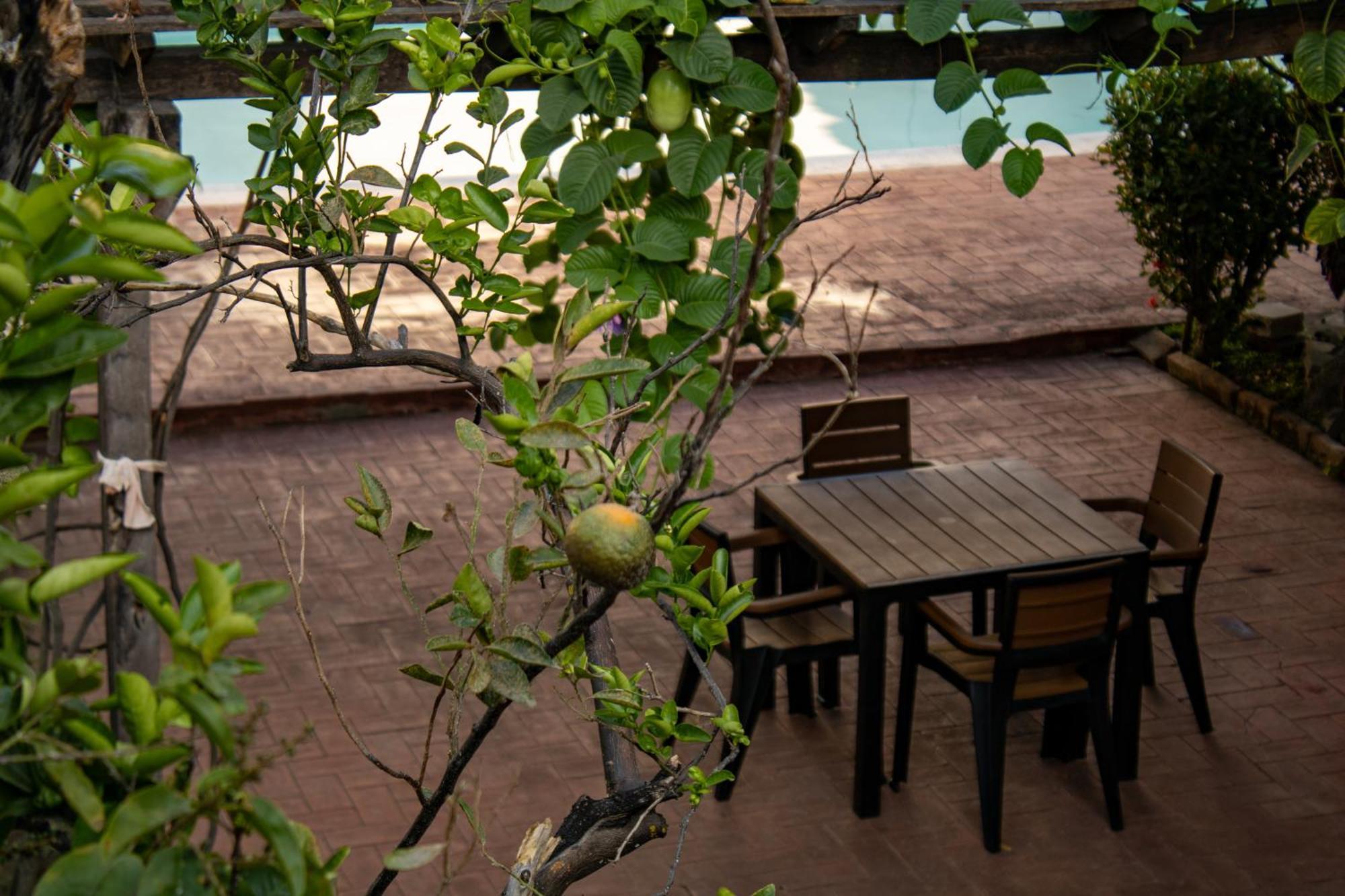 Volcano Hostal Y Restaurante Сан Салвадор Екстериор снимка